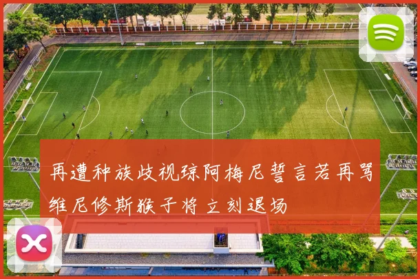 再遭种族歧视琼阿梅尼誓言若再骂维尼修斯猴子将立刻退场